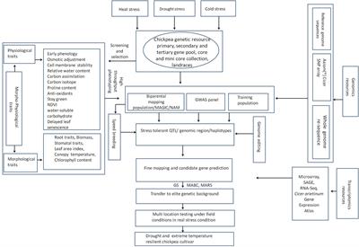 Developing Climate-Resilient Chickpea Involving Physiological and Molecular Approaches With a Focus on Temperature and Drought Stresses